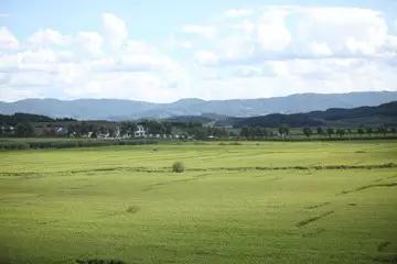 永乐国际F66·(中国游)官方网站