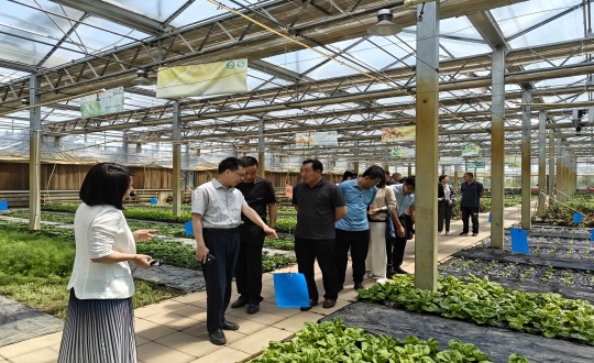 2024年6月27日，，，，，，中国绿色食物生长中心相关向导莅临农业总公司考察调研_副本.jpg